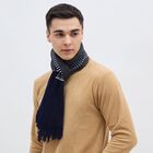 Men's Muffler, Navy Blue, small image number null