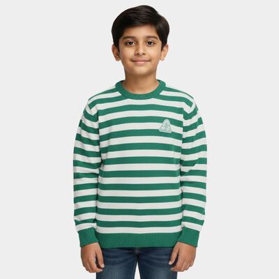 Boys Light Green Crew Neck Casual Pullover