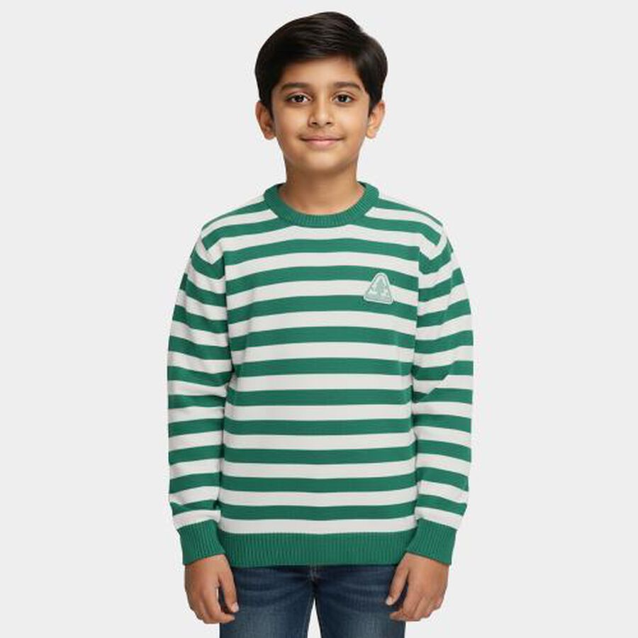 Boys Light Green Crew Neck Casual Pullover, हल्का हरा, large image number null