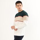 Men's Dark Green and Beige Crew Neck Casual Sweatshirt, Dark Green, small image number null