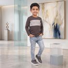 Boys Charcoal Cotton Round Neck Regular T-Shirt, चारकोल, small