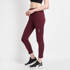 Solid Tights, Wine, small image number null