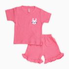 Infant Girls' Bright Pink Cotton Bunny Embroidered Top and Ruffle Shorts Set, Pink, small