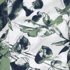 Boys' 100% Cotton Jamaicans, Olive, small image number null