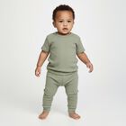 Infants Light Sage Green Round Neck Casual Thermal, Light Green, small image number null
