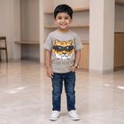 Boys Grey Cotton Round Neck Regular Boys T-Shirt, Light Grey, small