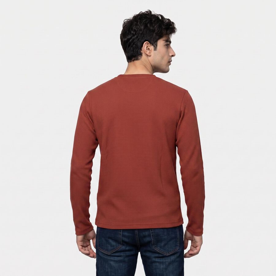 Men's Rust Crew Neck Regular T-Shirt, रस्ट, large