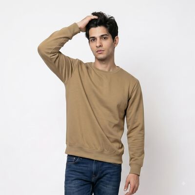 Men Beige Crew Neck Pullover Sweatshirt
