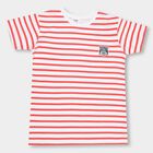 Boys' 100% Cotton Half Sleeves T-Shirt , White, small