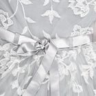 Girls' Soft Silver Floral Embroidered Party Wear Frock, Light Blue, small image number null