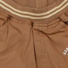 Infants Brown Jogger Fit Teddy Print Trousers, गहरा पीला, small