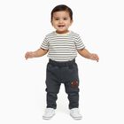 Infants' Dark Grey Regular Fit Embroidered Jeans, हल्का ग्रे, small image number null