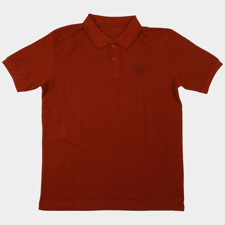 Boys Brown Polo Neck Polo T-Shirt, भूरा, large