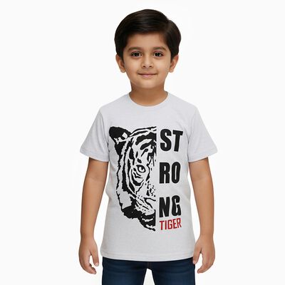 Boys Light Grey Round Neck Casual T-Shirt