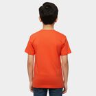 Boys' Coral Round Neck Graphic Printed T-Shirt, Coral, small