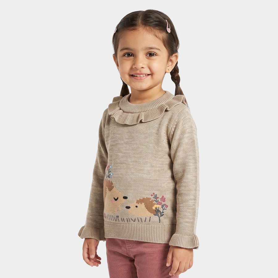 Girls Beige Crew Neck Long Sleeve Pullover, Beige, large