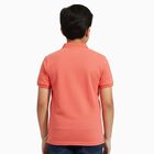 Boys Soft Peach Cotton Round Neck Casual Half Sleeve T-Shirt, Peach, small