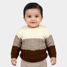Infants Brown Crew Neck Knitted Design Pullover, भूरा, small