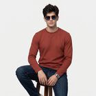 Men's Rust Crew Neck Regular T-Shirt, रस्ट, small