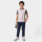 Boys Lilac Cotton Polo Neck Polo Boys T-Shirt, Lilac, small