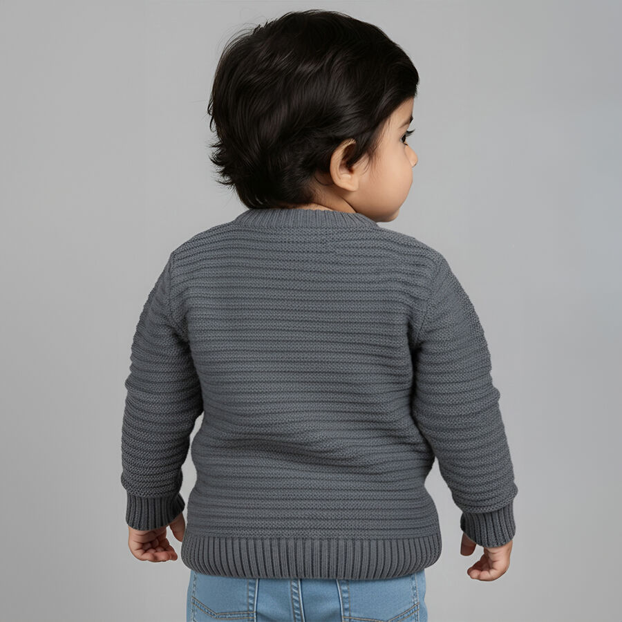 Infants Dark Grey Crew Neck Classic Pullover, Dark Grey, large image number null