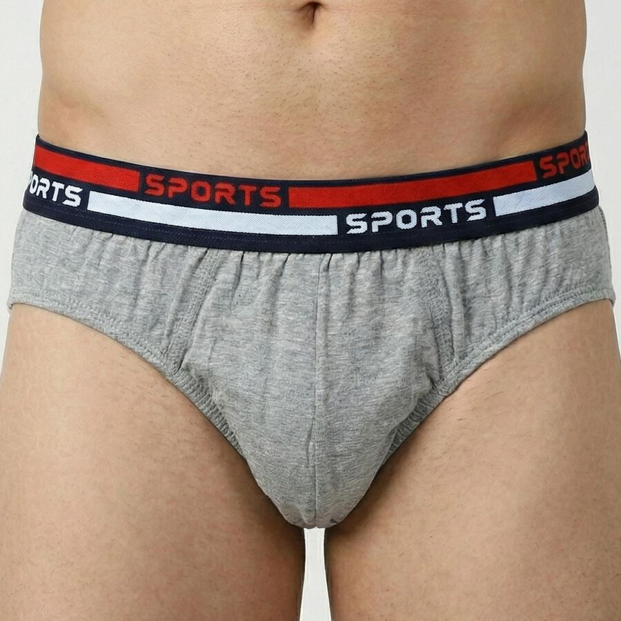Men's Grey Cotton Regular Fit Briefs, मिश्रित हल्का ग्रे, large