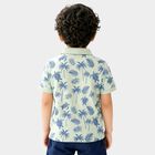 Boys Light Green Cotton Polo Neck Casual T-Shirt, Light Green, small