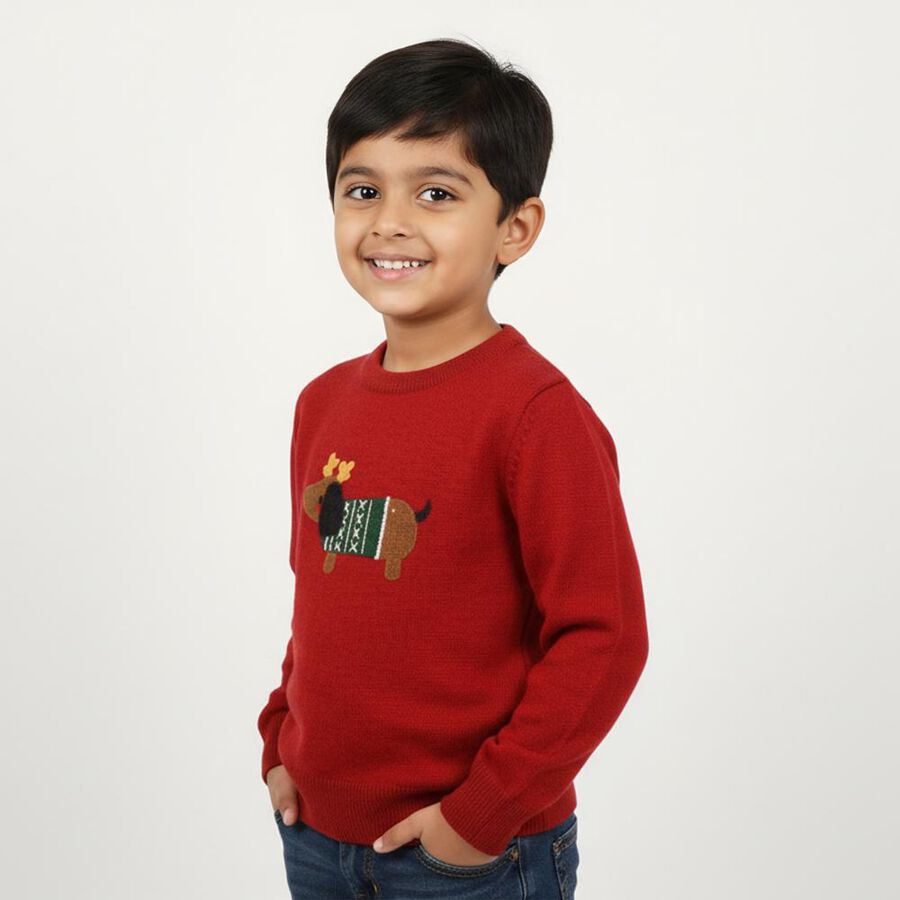 Boys Bright Cherry Red Crew Neck Casual Pullover, लाल, large image number null