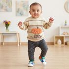 Infants' Beige Crew Neck Printed Pullover, गहरा पीला, small