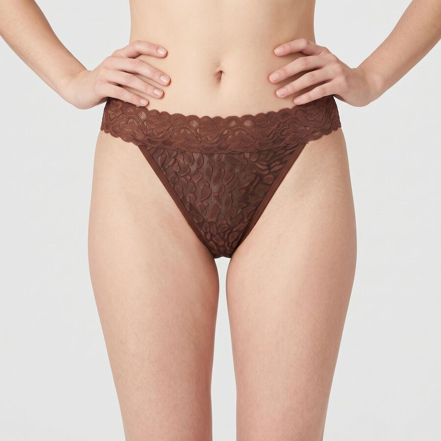 Women's Brown Regular Fit Lace Thong Panty, भूरा, large