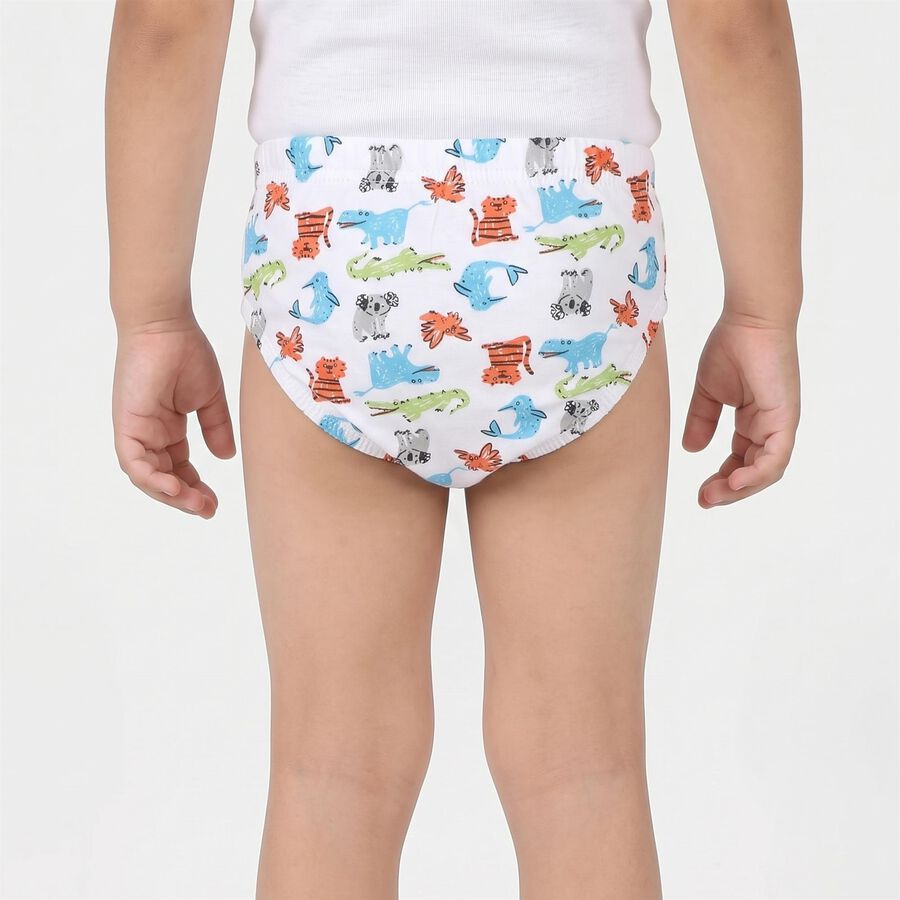 Boys Grey Regular Fit Printed Briefs, Light Grey, large