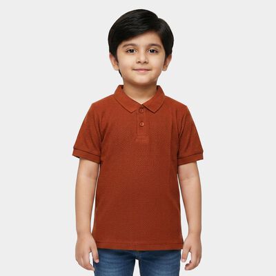 Boys Brown Polo Neck Polo T-Shirt