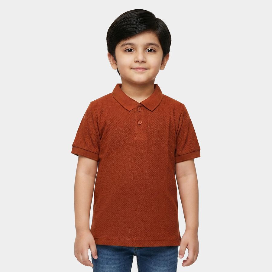 Boys Brown Polo Neck Polo T-Shirt, भूरा, large