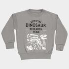 Boys Light Grey Crew Neck Casual Sweatshirt, Light Grey, small