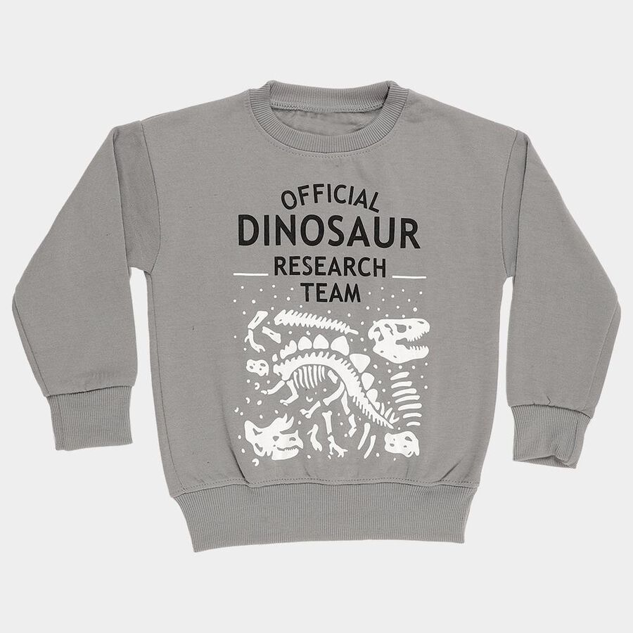 Boys Light Grey Crew Neck Casual Sweatshirt, Light Grey, large