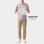 Men's Light Grey Checked Pack of 3 Handkerchief, हल्का ग्रे, small