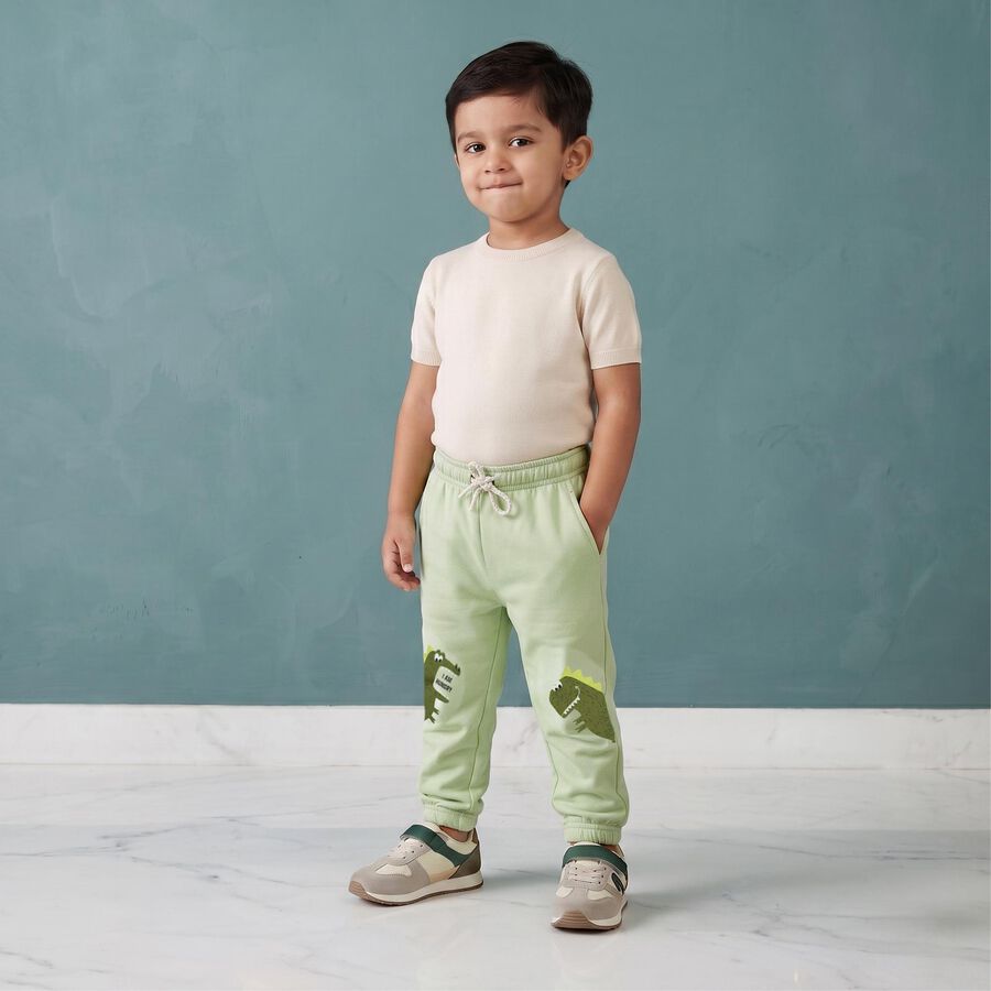 Boys' Mint Green Jogger Fit Dinosaur Pyjama, हल्का हरा, large