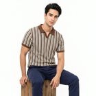 Men's Brown Polo Neck Striped T-Shirt, भूरा, small