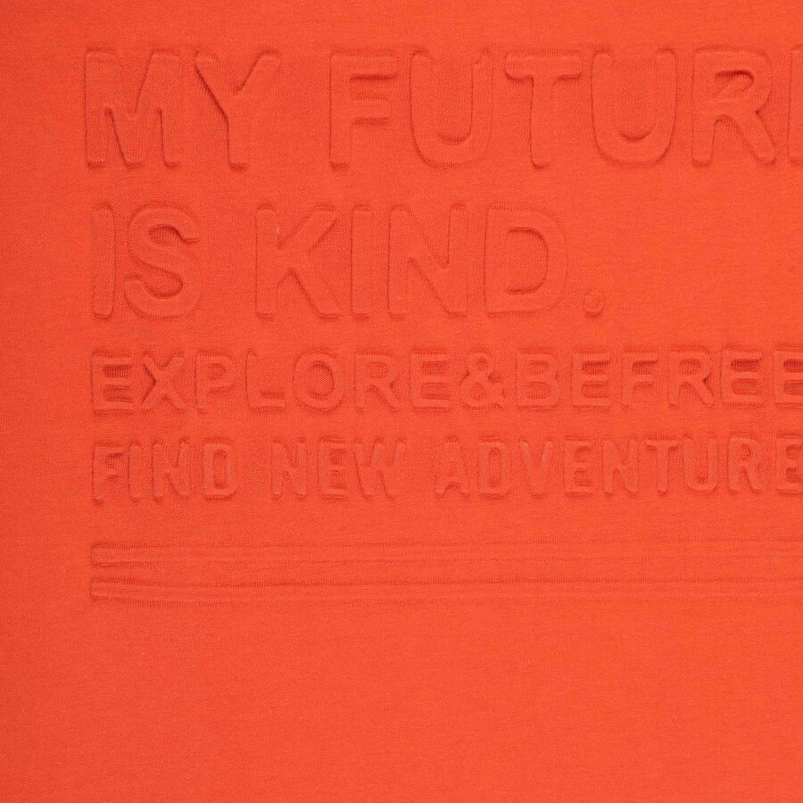 Boys Cotton T-Shirt, Rust, large image number null