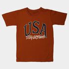 Boys' Half Sleeves T-Shirt, Brown, small