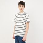 Men's Snow White Round Neck Casual T-Shirt, White, small