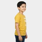 Boys Mustard Crew Neck Regular Boys T-Shirt, मस्टर्ड, small