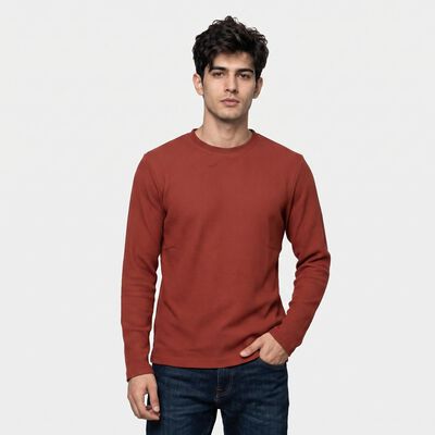 Men's Rust Crew Neck Regular T-Shirt