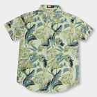 Boys' 100% Cotton Casual Shirt , Light Green, small image number null