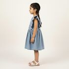 Girls' Light Blue Embroidered Sleeveless Flared Frock, Light Blue, small image number null