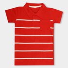 Boys' 100% Cotton Half Sleeves T-Shirt , Red, small image number null