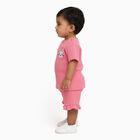 Infant Girls' Bright Pink Cotton Bunny Embroidered Top and Ruffle Shorts Set, Pink, small