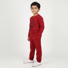 Boys' Maroon Mandarin Collar Solid Baba Suit, Maroon, small image number null