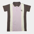 Boys Lilac Cotton Polo Neck Polo Boys T-Shirt, Lilac, small
