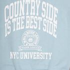 Boys Light Powder Blue Crew Neck Printed Sweatshirt, Light Blue, small image number null